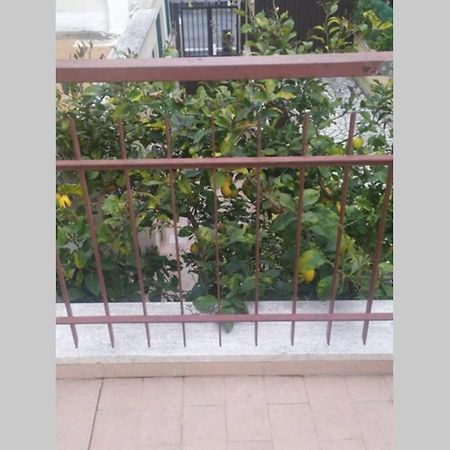 Appto Limone Apartment Lido di Ostia Ngoại thất bức ảnh