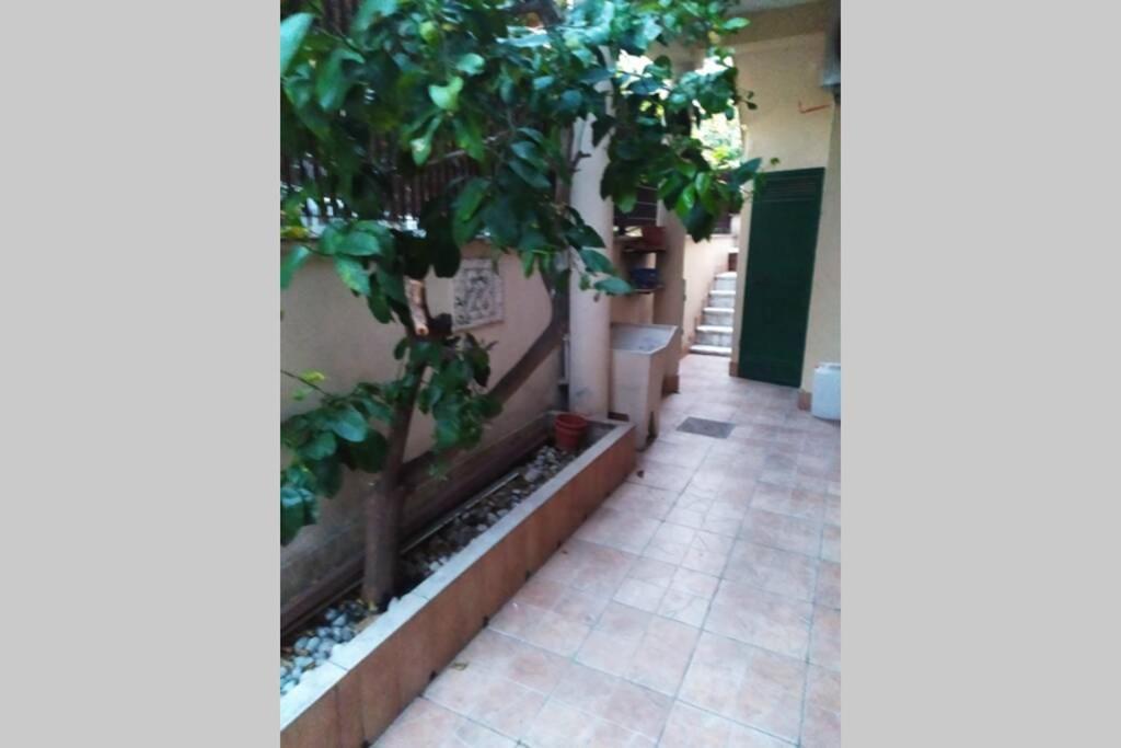 Appto Limone Apartment Lido di Ostia Ngoại thất bức ảnh