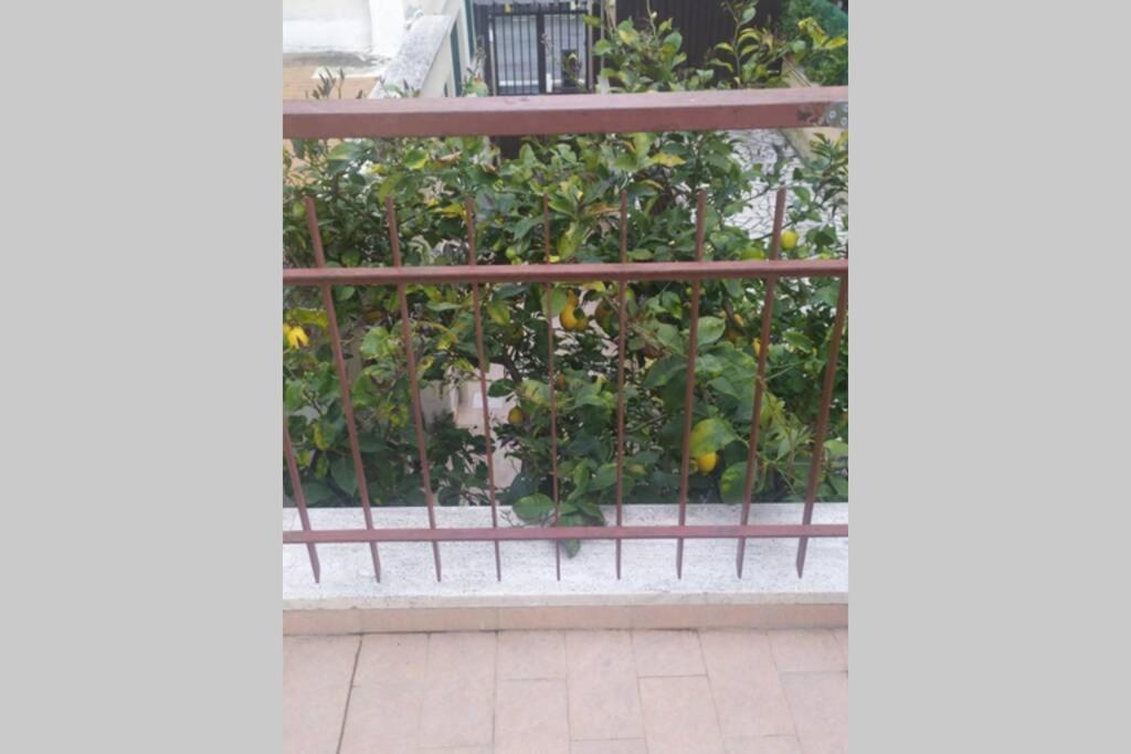 Appto Limone Apartment Lido di Ostia Ngoại thất bức ảnh